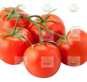 Tomatoes on Vine
