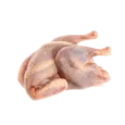 Hard Chicken Boiler Hen
