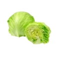 Iceberg Lettuce