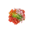 Mutton Mince With Spices
