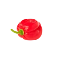 Scotch bonnet
