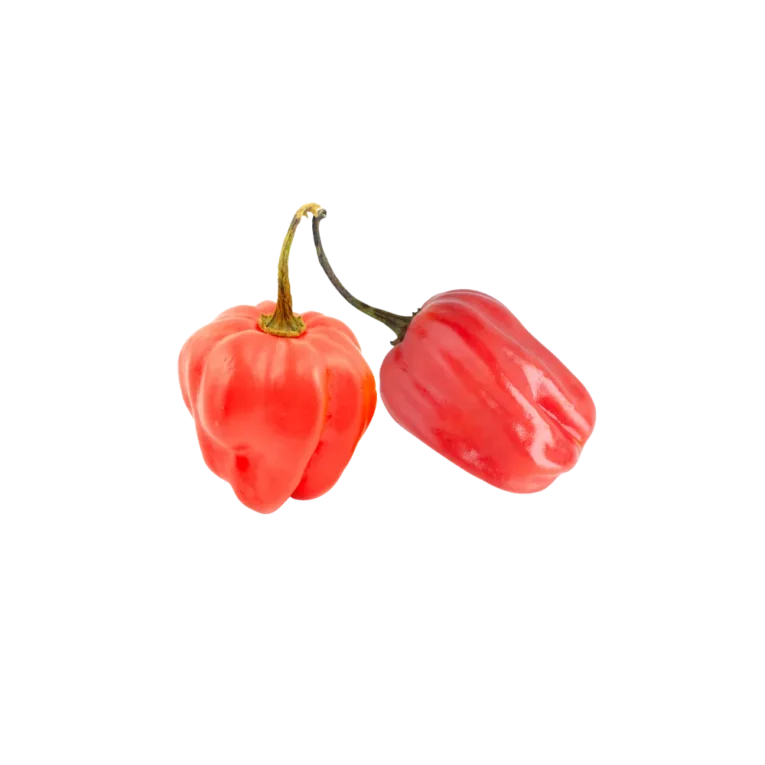 Scotch bonnet 2