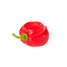Scotch bonnet