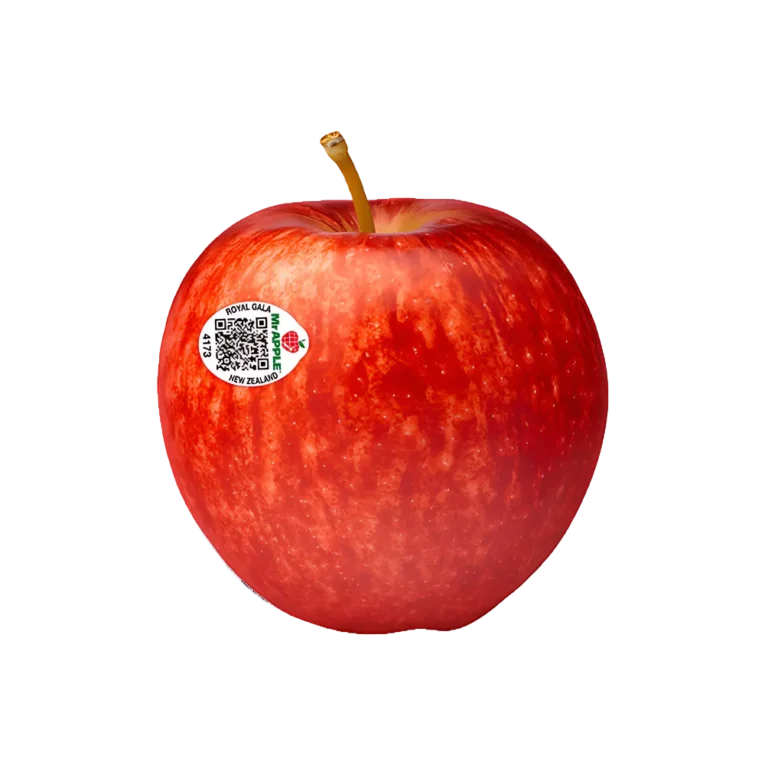 Apple Royal Gala