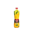 Nestle Fruita Vital Chaunsa Mango Nectar 1L