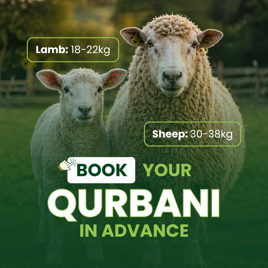Book Your Qurbani in Advance