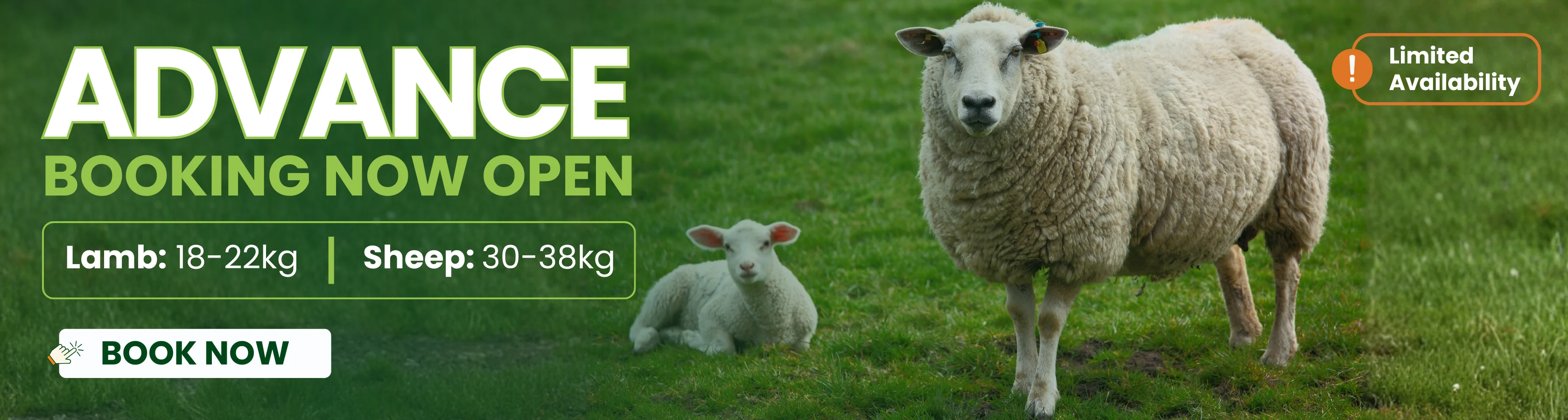 Qurbani Advance Booking is Now Open